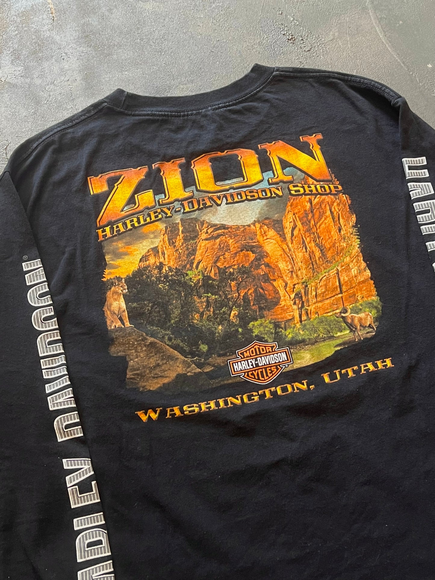 2000’ Harley Davidson Longlsleeve (M)