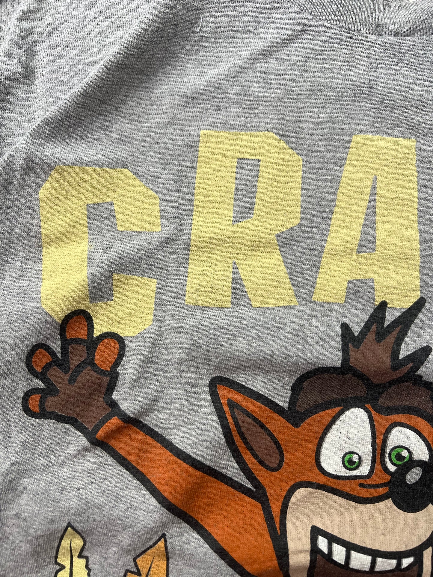 Crash Bandicoot 00’s Vintage Tee
