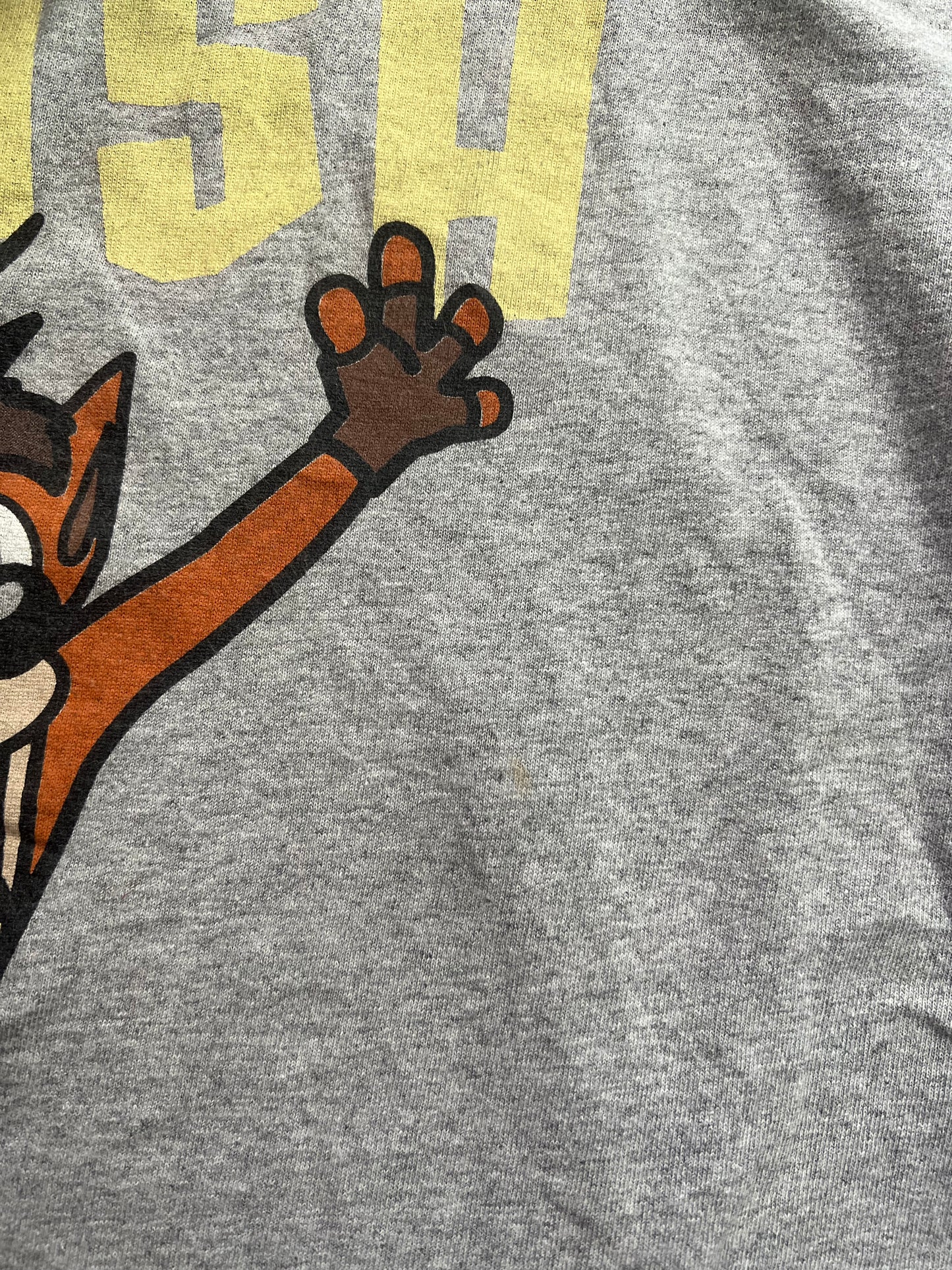 Crash Bandicoot 00’s Vintage Tee